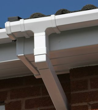 fascia3_orig